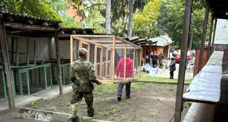 brigada_před_výstavou_dr_zvířectva.jpg